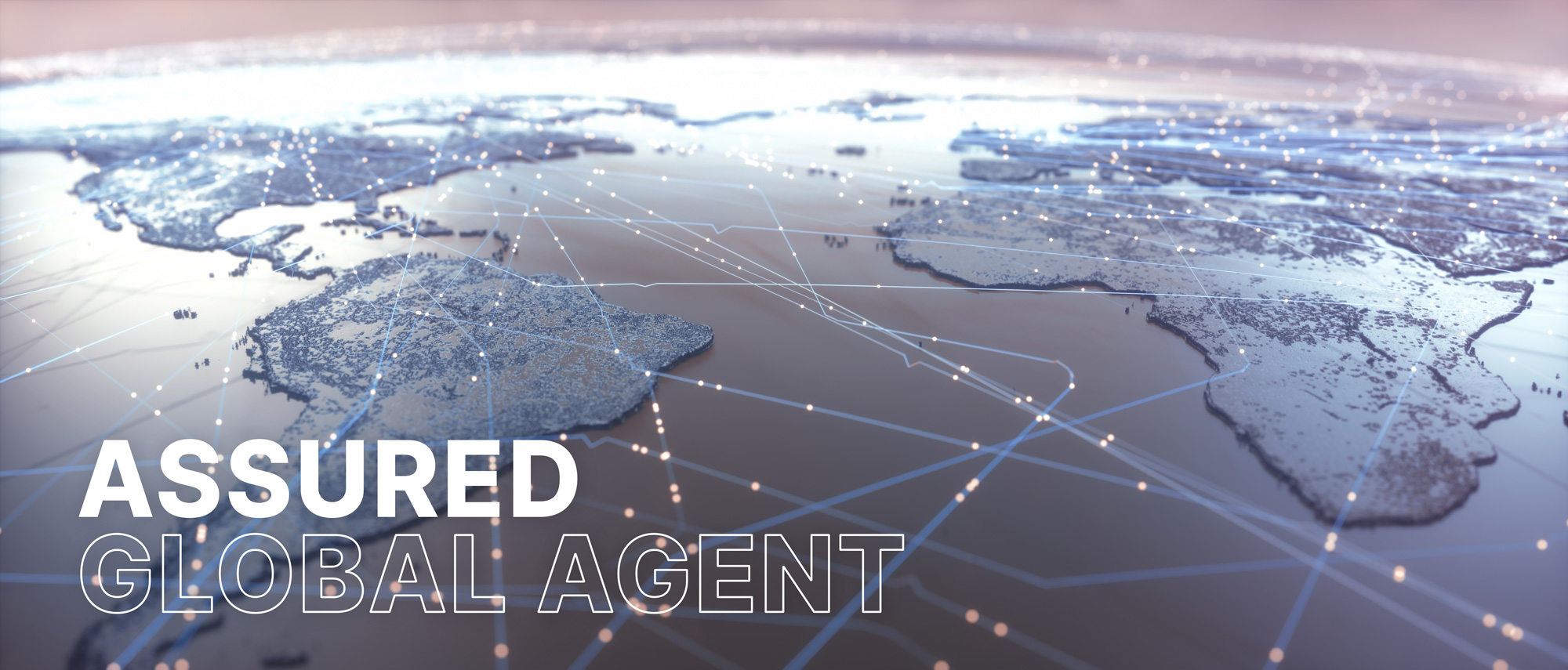 글로벌 네트워크